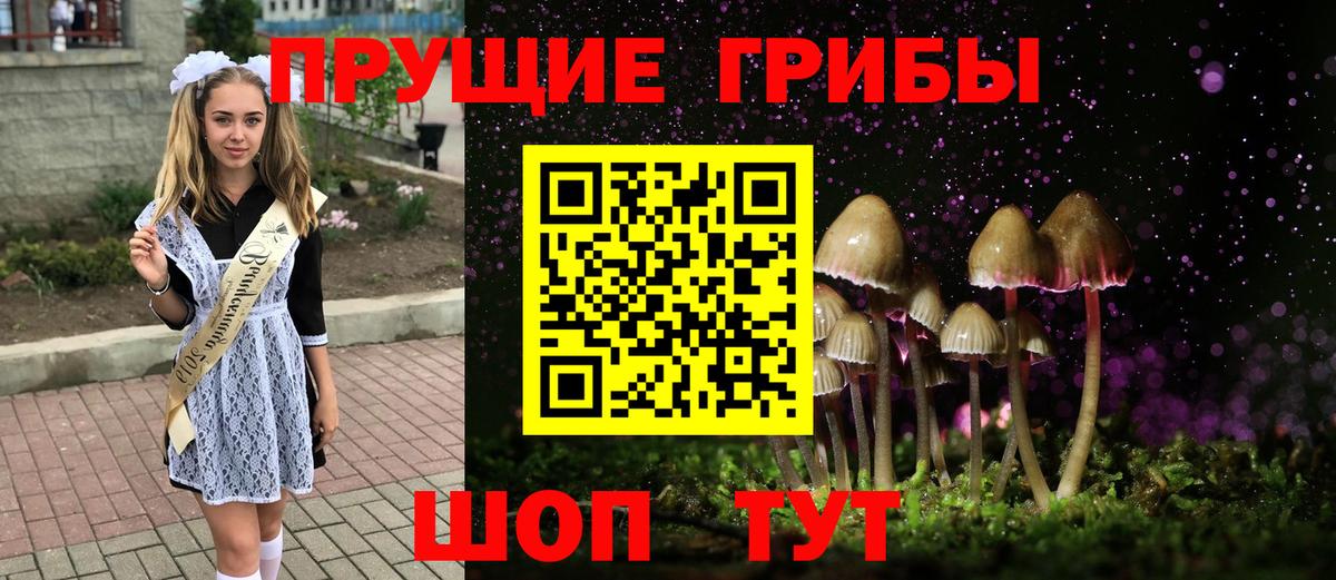 Кимры  Галлюциногенные грибы мицелий  где купить   Вход с VPN 